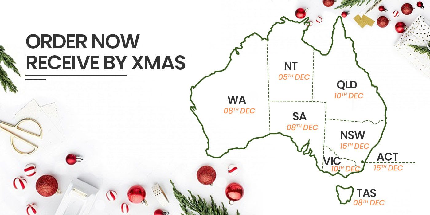 ORDER NOW RECEIVE BY CHRISTMAS